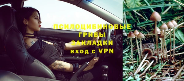 бошки Аркадак