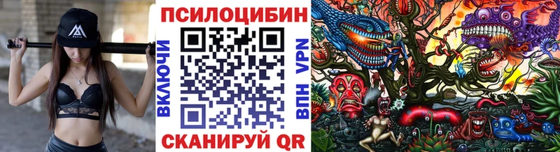Псилоцибиновые грибы Psilocybine cubensis  hydra ссылка  Ельня 